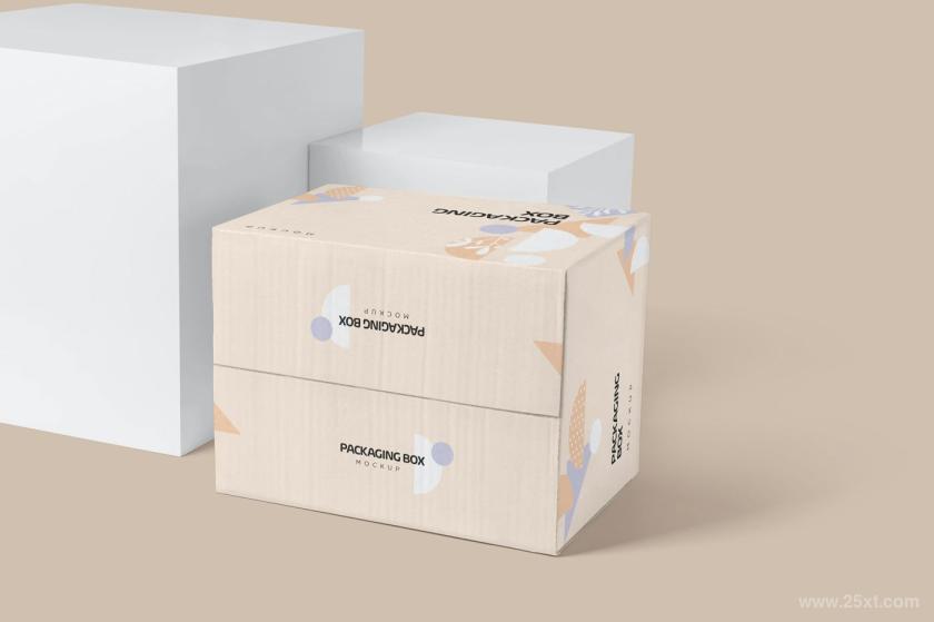 25xt-6500041 LargeRectangularCardboardPackagingBoxMockupsz6.jpg