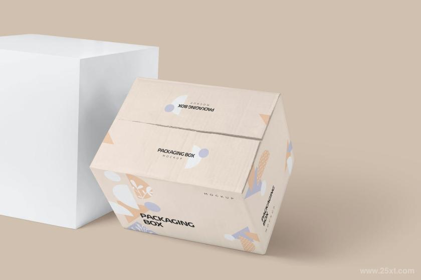 25xt-6500041 LargeRectangularCardboardPackagingBoxMockupsz7.jpg