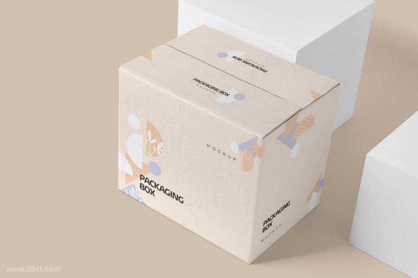 25xt-126539 7PackagingBoxMockupsz6.jpg