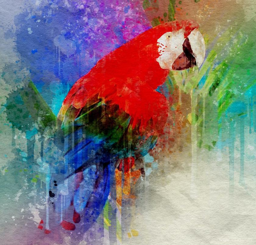 25xt-610516 SplashArtPhotoshopActionz13.jpg
