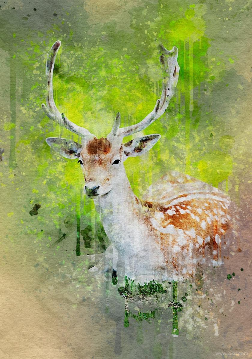 25xt-610516 SplashArtPhotoshopActionz15.jpg