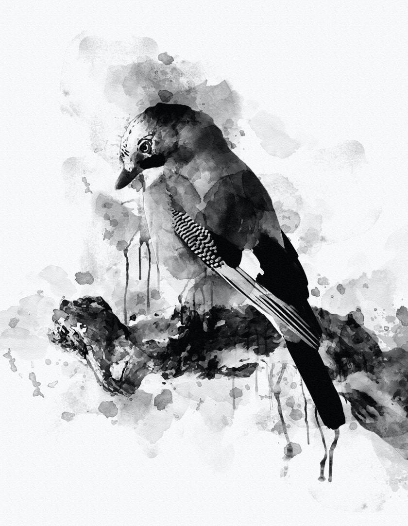 25xt-610520 InkArtPhotoshopActionz17.jpg