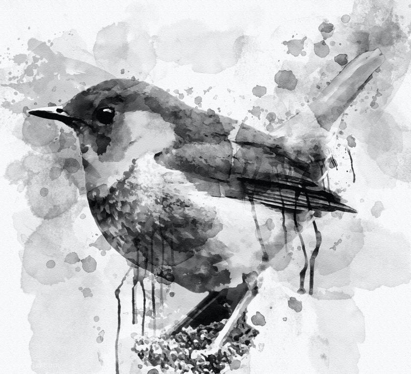 25xt-610520 InkArtPhotoshopActionz3.jpg