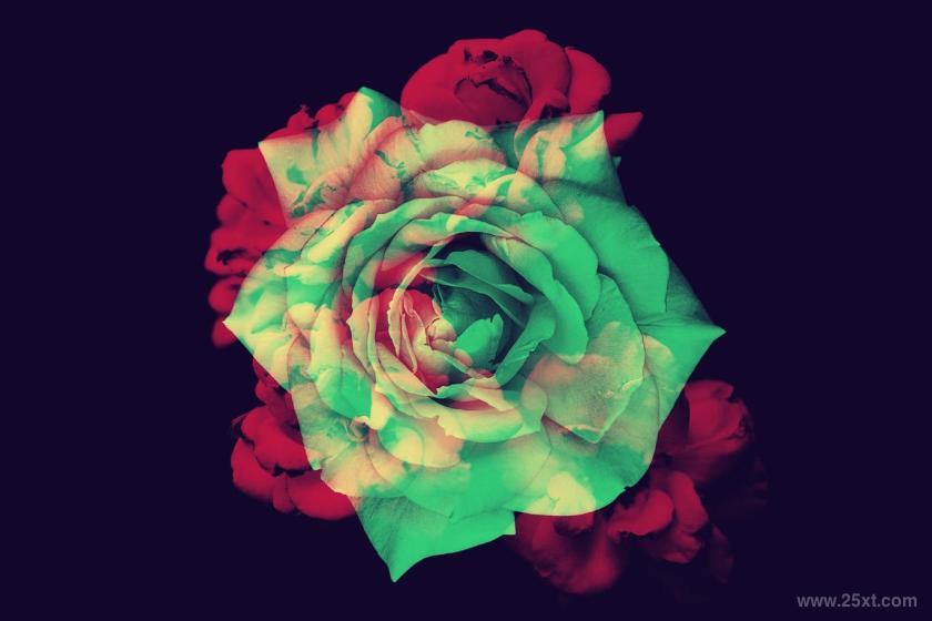 25xt-710369 ElegantFlowerBrushesforPhotoshopz6.jpg