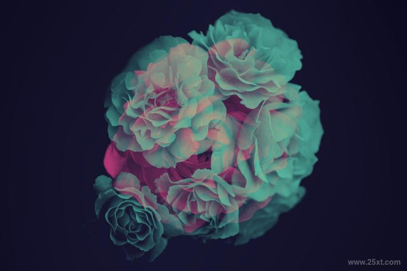 25xt-710369 ElegantFlowerBrushesforPhotoshopz9.jpg