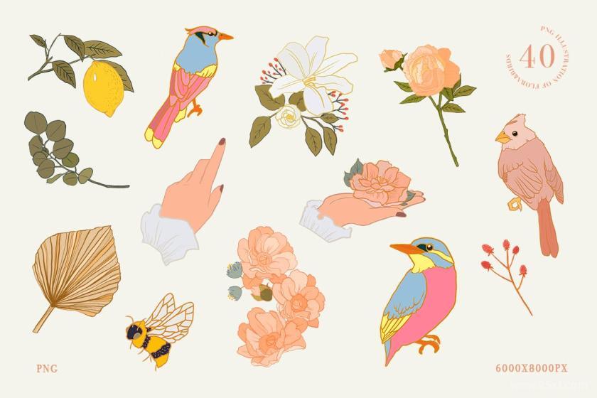 25xt-710642 CallofNatureCollageKitz9.jpg