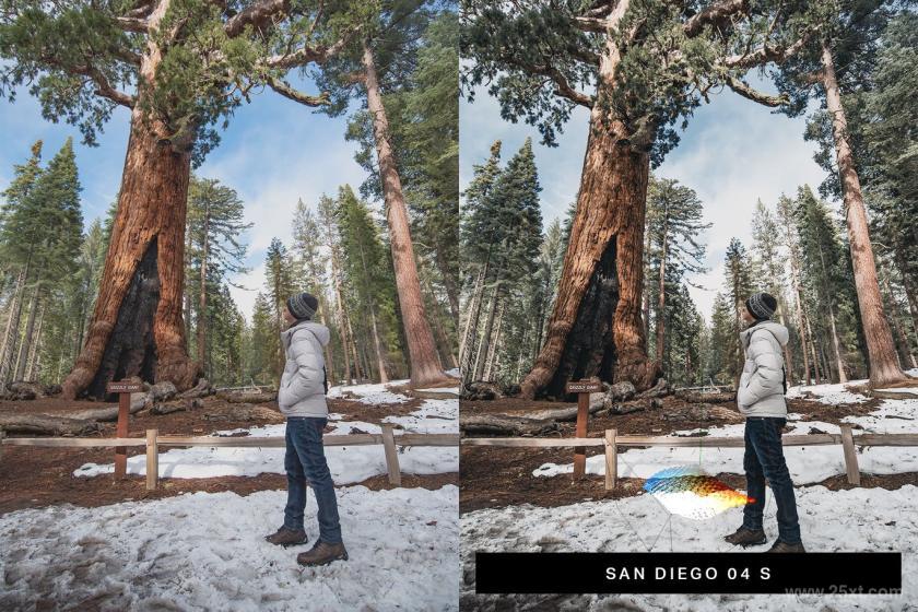 25xt-710086 50CaliforniaVibeLightroomPresetsandLUTsz4.jpg