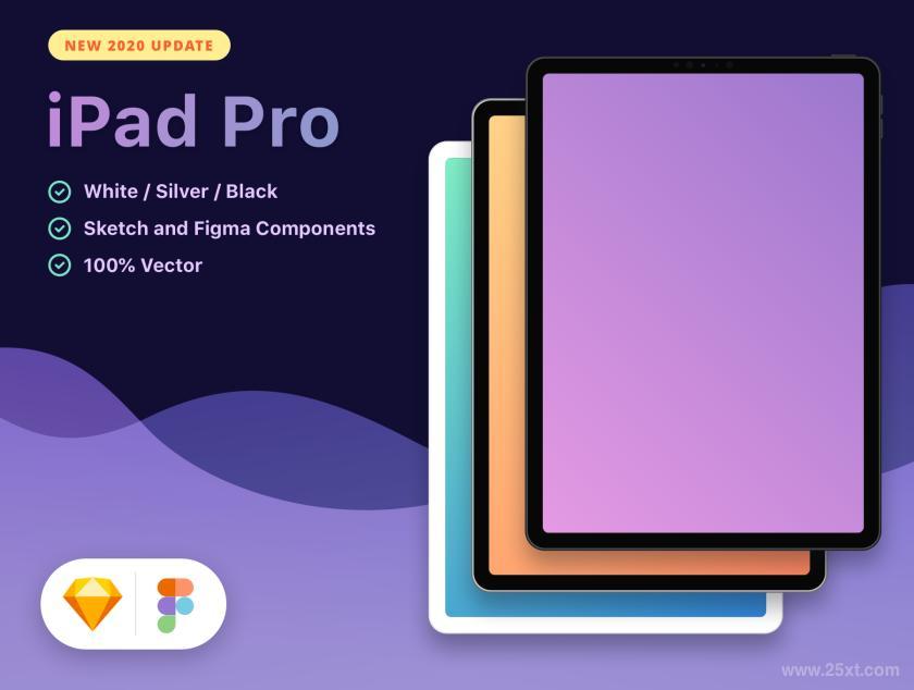 25xt-611262 New2020iPadProz3.jpg