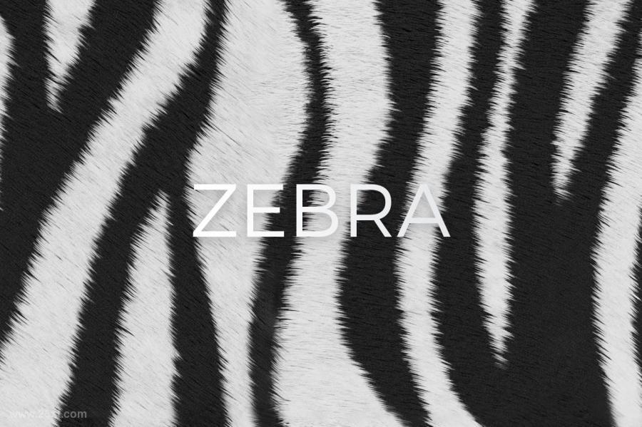 25xt-127726 Animal-Print-Patterns-for-Photoshopz8.jpg