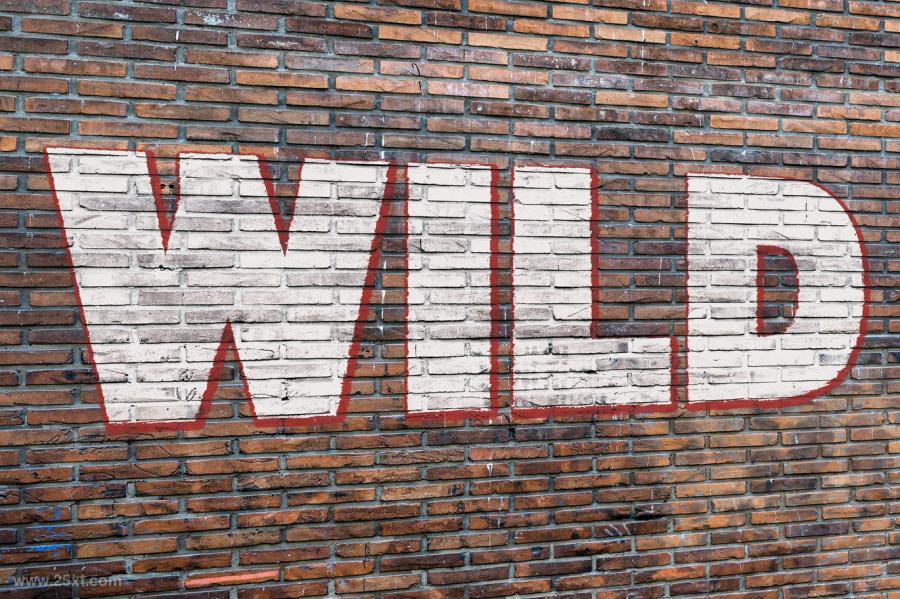 25xt-127964 Realistic-Brick-Wall-Signsz4.jpg