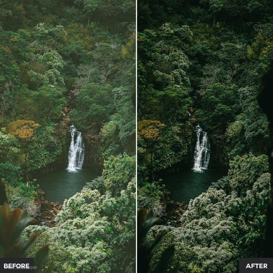 25xt-128319 Jungle-Lightroom-Presetsz5.jpg