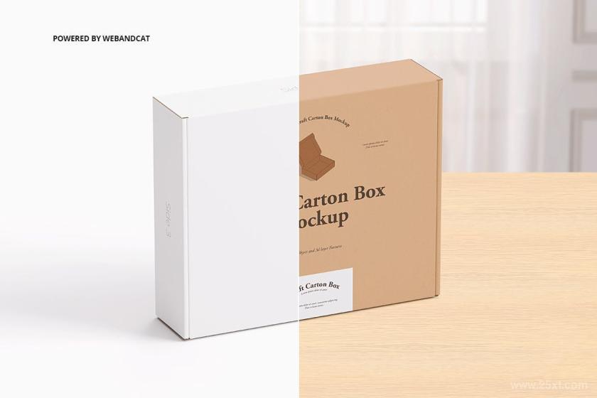 25xt-160781 MailingKraftCartonBoxMockup2z3.jpg