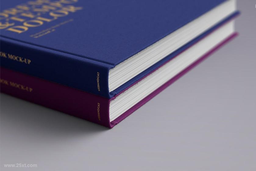 25xt-160790 BookMock-upz7.jpg