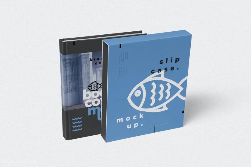 25xt-128349 BookCoverSlideCaseMockupsz6.jpg