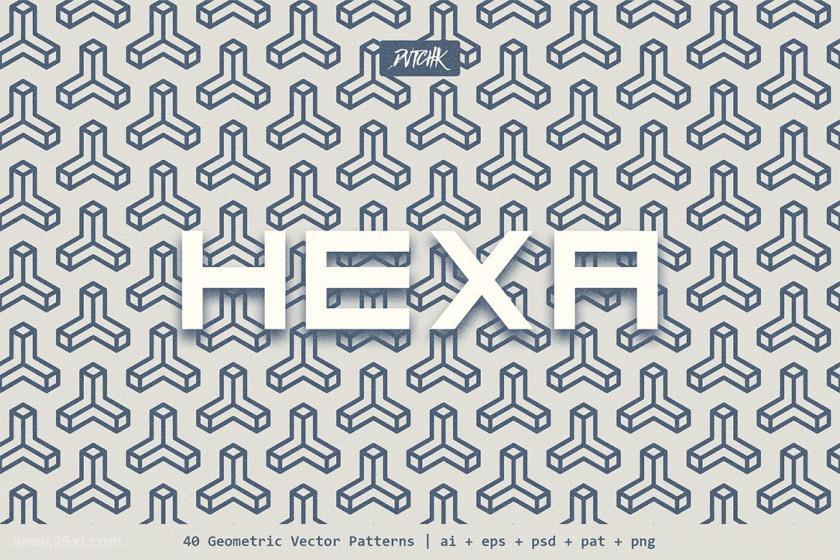 25xt-160936 HexaGeometricVectorPatternsz10.jpg