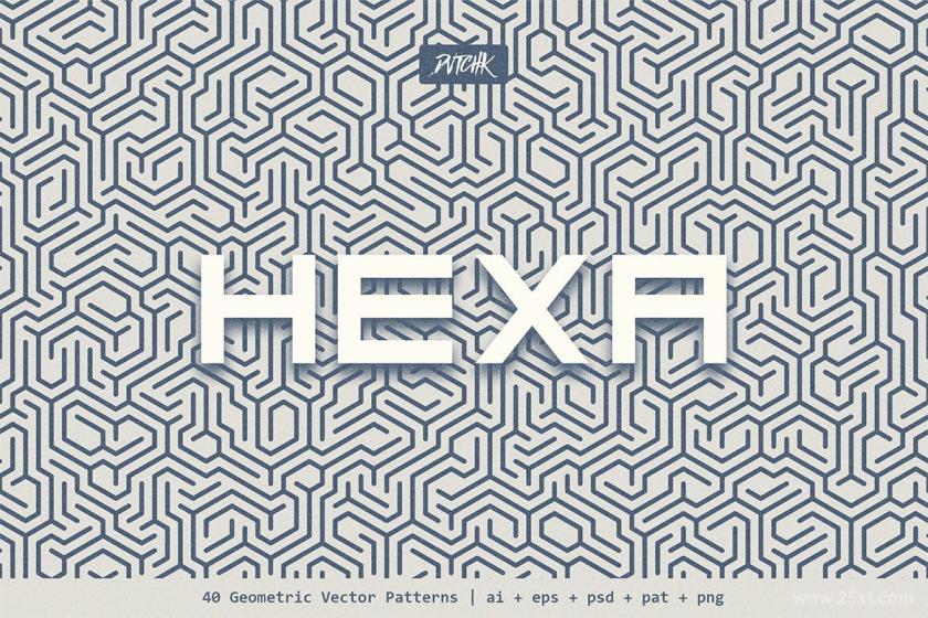 25xt-160936 HexaGeometricVectorPatternsz13.jpg