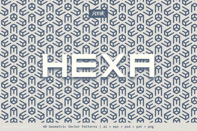 25xt-160936 HexaGeometricVectorPatternsz14.jpg