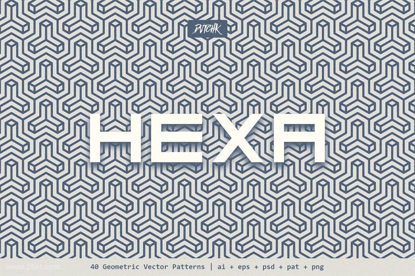 25xt-160936 HexaGeometricVectorPatternsz15.jpg