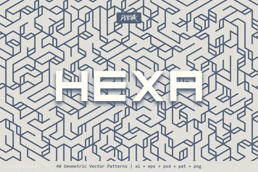 25xt-160936 HexaGeometricVectorPatternsz16.jpg