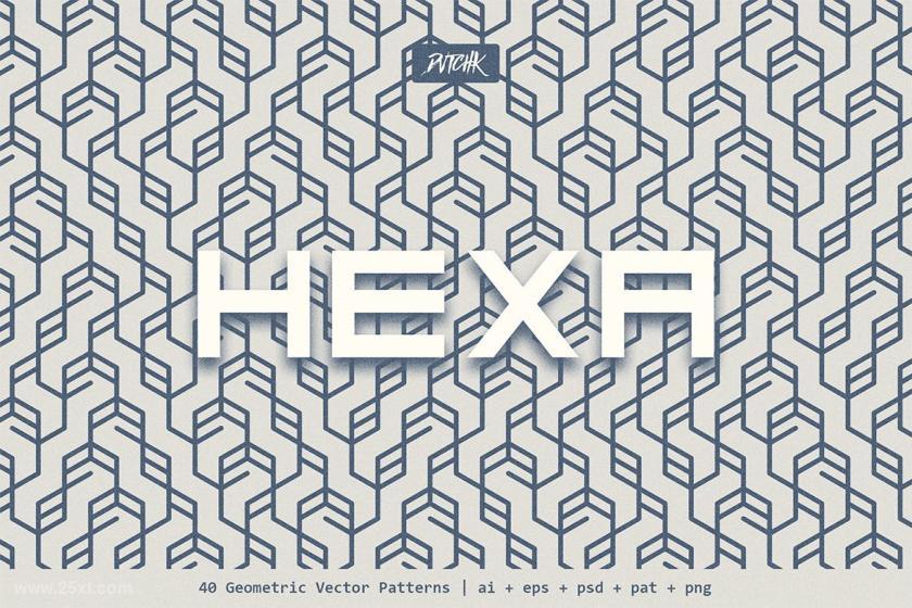 25xt-160936 HexaGeometricVectorPatternsz17.jpg