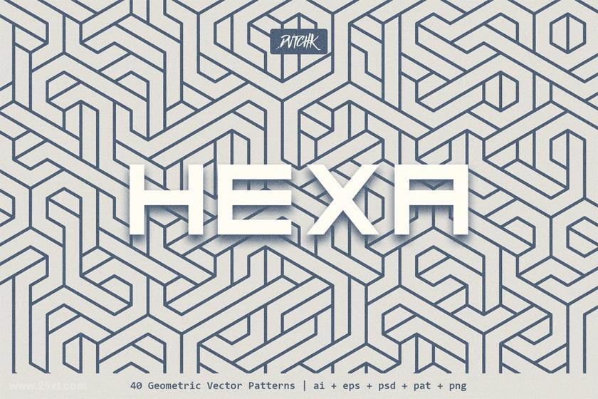 25xt-160936 HexaGeometricVectorPatternsz3.jpg