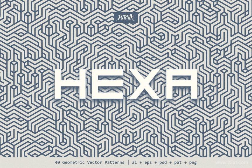 25xt-160936 HexaGeometricVectorPatternsz6.jpg