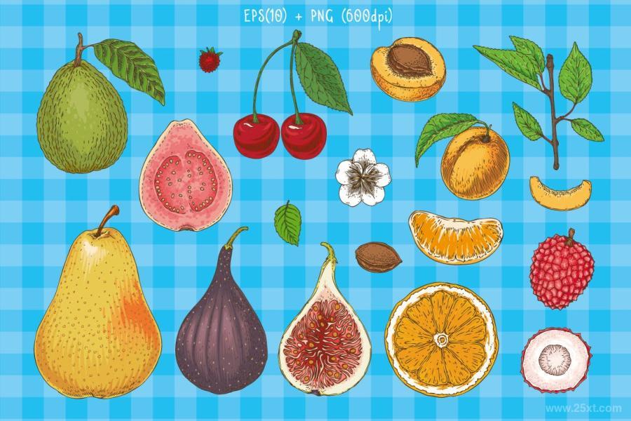 25xt-170576 Delicioious-Handdrawn-Fruit-Kitz7.jpg