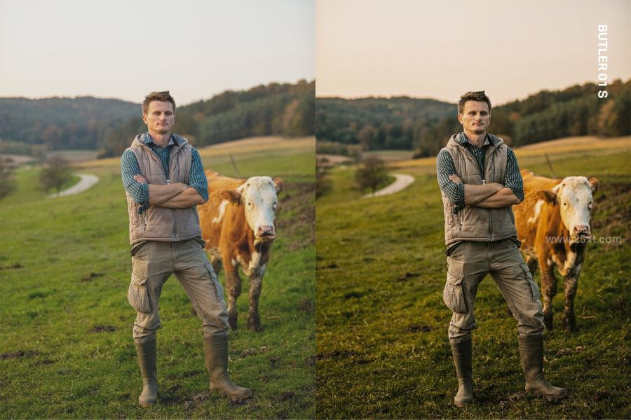 25xt-162992 25-Golden-Warmth-Lightroom-Presets-and-LUTsz11.jpg