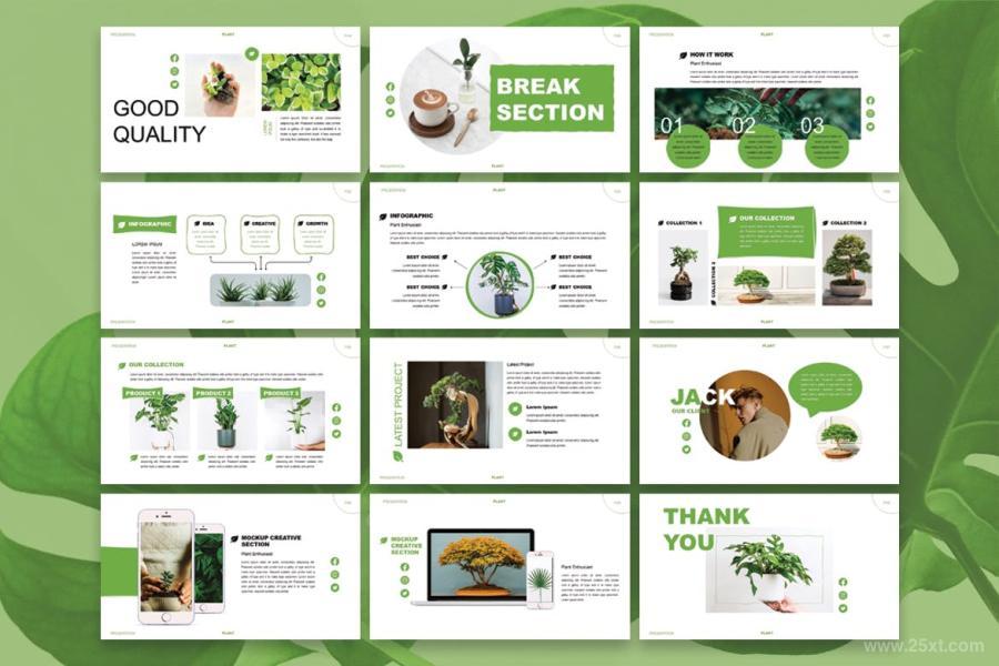 25xt-487508 Plant-Enthusiast---Powerpoint-Templatez5.jpg