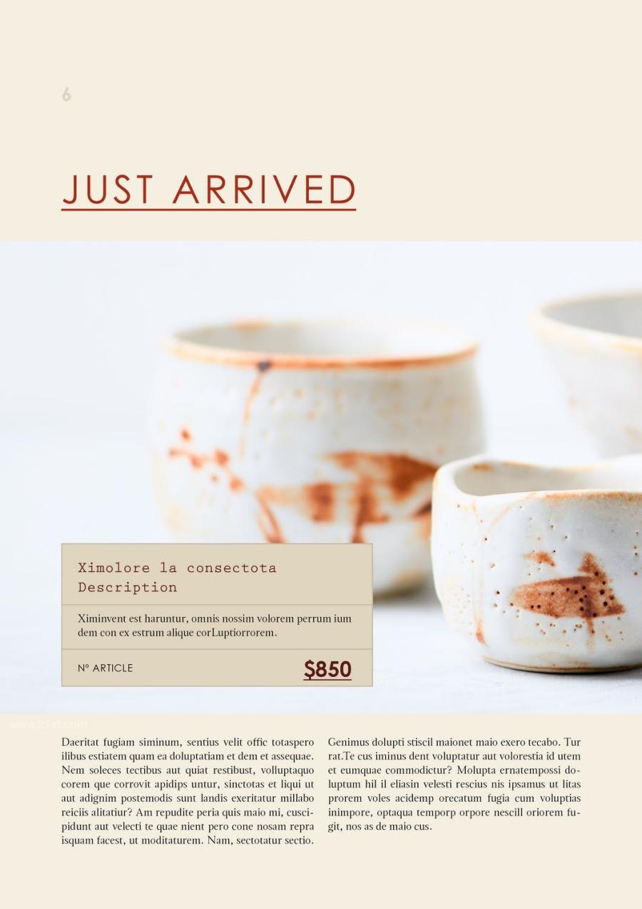25xt-172827 Product-Catalog-Layoutz13.jpg