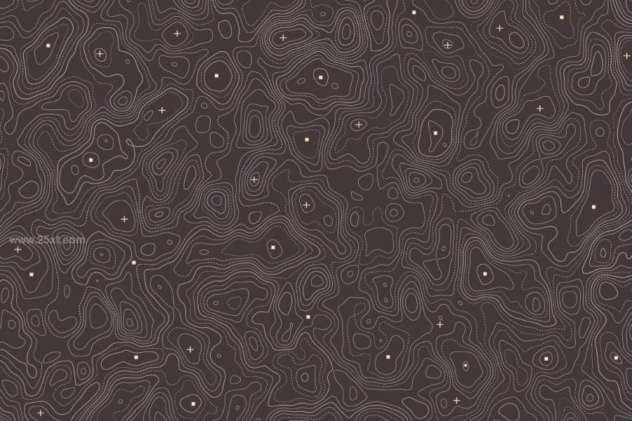 25xt-164489 Topographic-Vector-Patternsz6.jpg