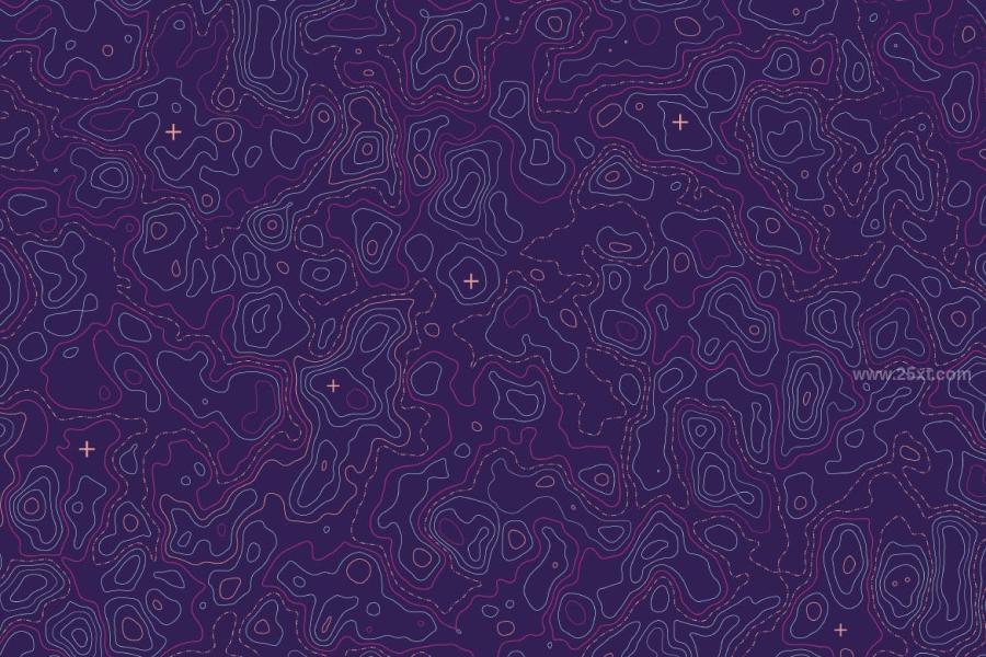 25xt-164489 Topographic-Vector-Patternsz8.jpg