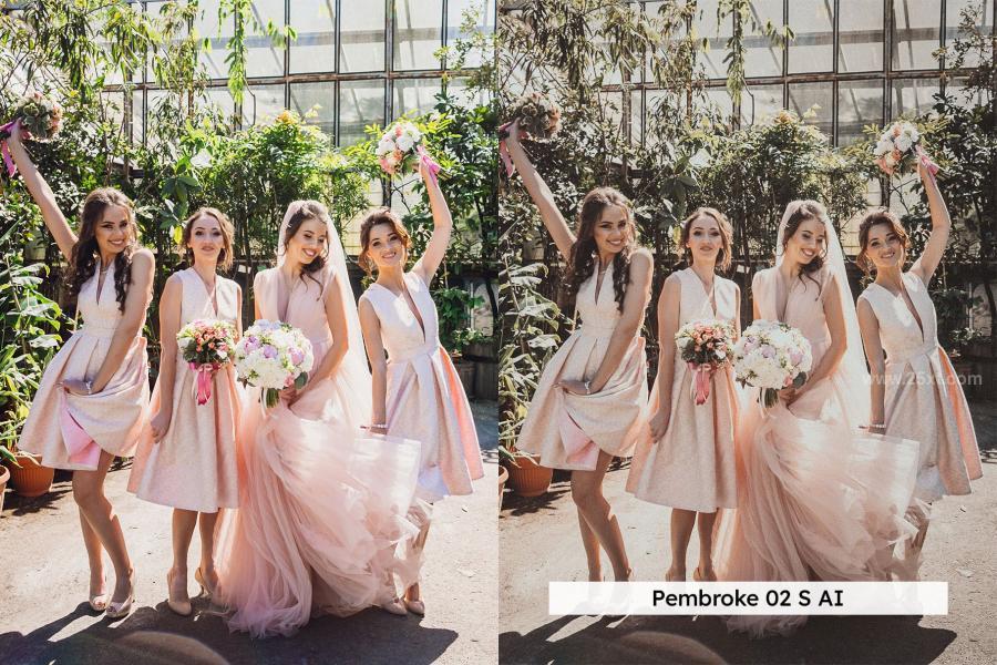 25xt-173490 20-Vintage-Wedding-Lightroom-Presets-and-LUTsz8.jpg