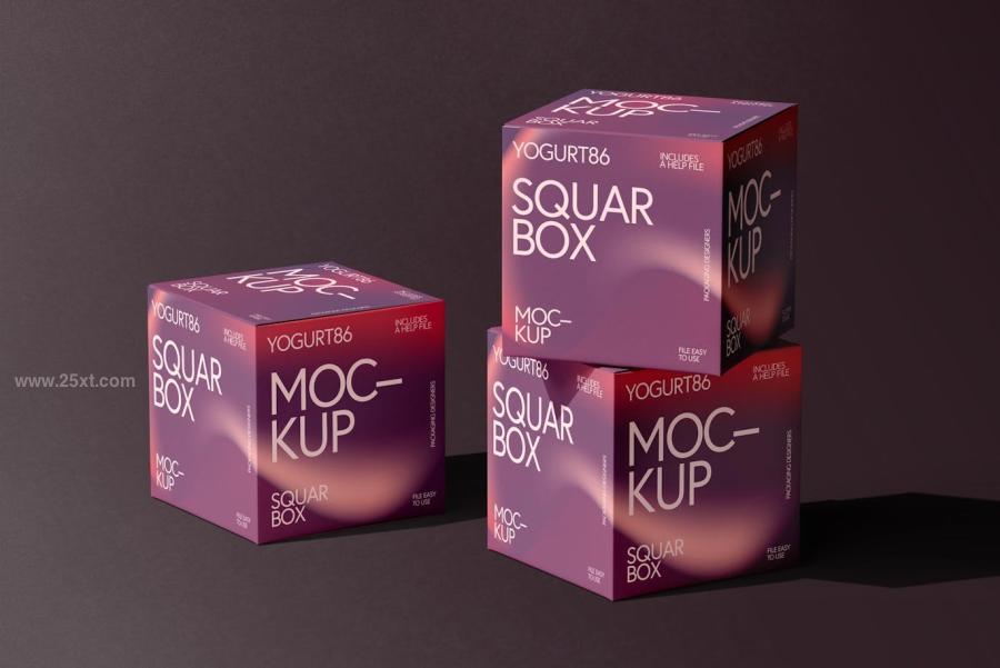 25xt-176042 Square-Cardboard-Box-Mock-upz10.jpg