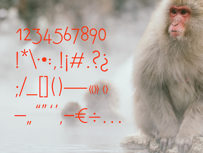 Baboon Round 6.jpg