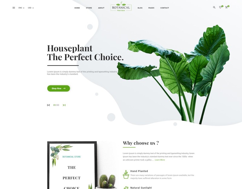 Botanical - PSD Template-1.jpg