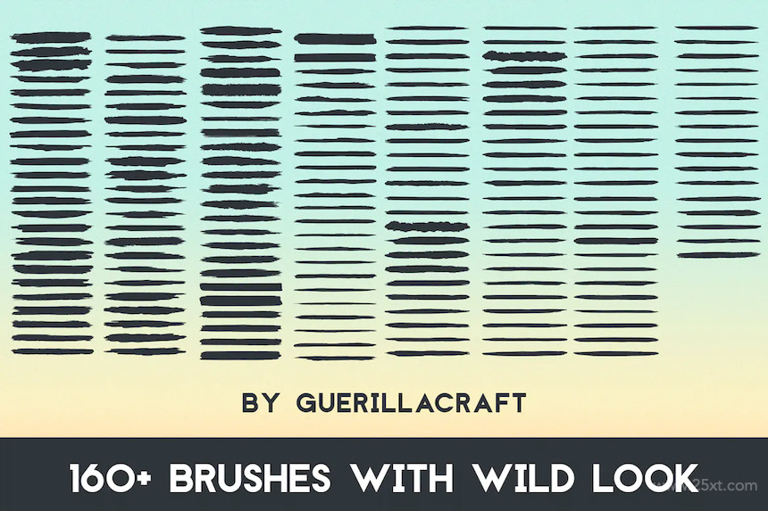 160 Wild Strokes for Adobe Illustrator 4.jpg