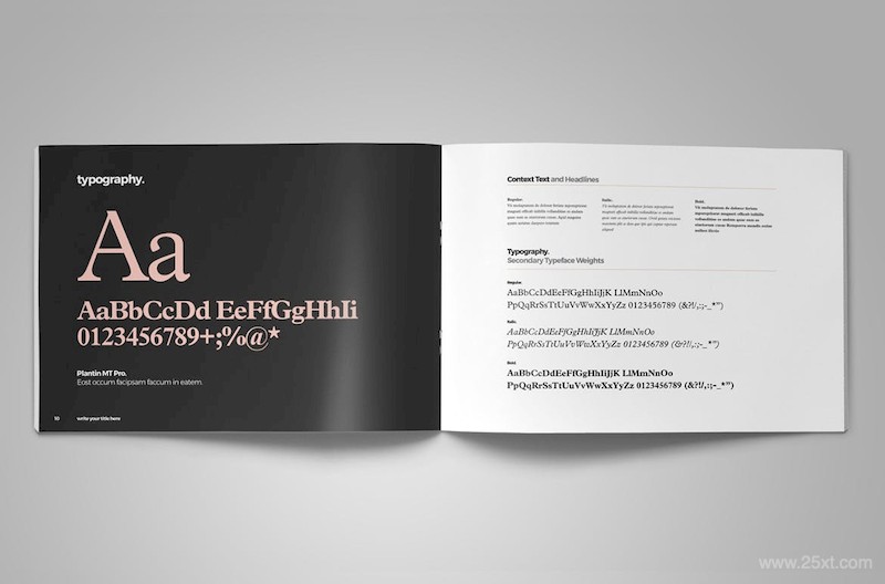 Brand Guideline Landscape Layout with Pink Accents-3.jpg