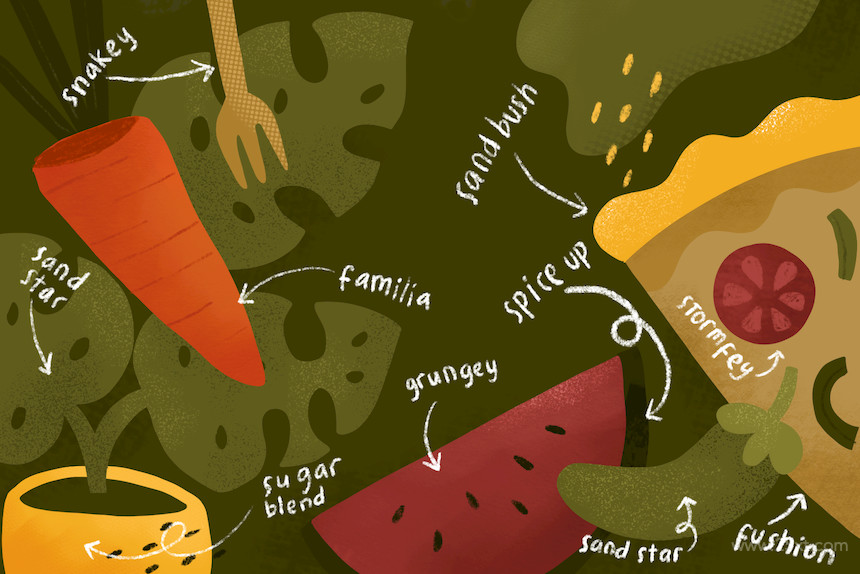 SPICE UP GRAIN BRUSHES for Procreate 9.jpg