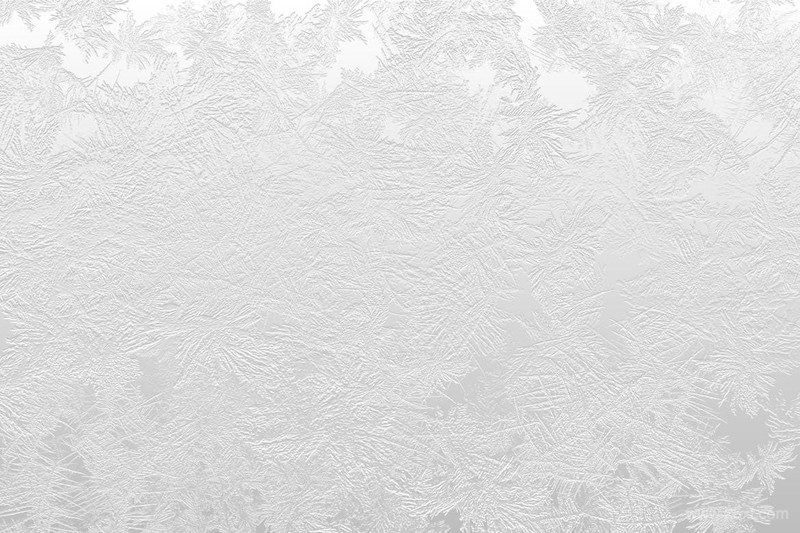 White Frost Winter Backgrounds-6.jpg