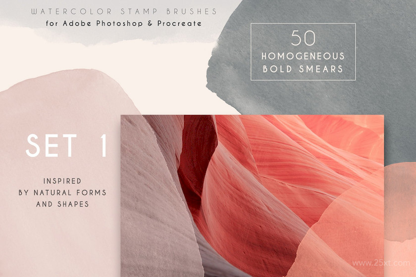 Clarity- Photoshop Brushes 3.jpg