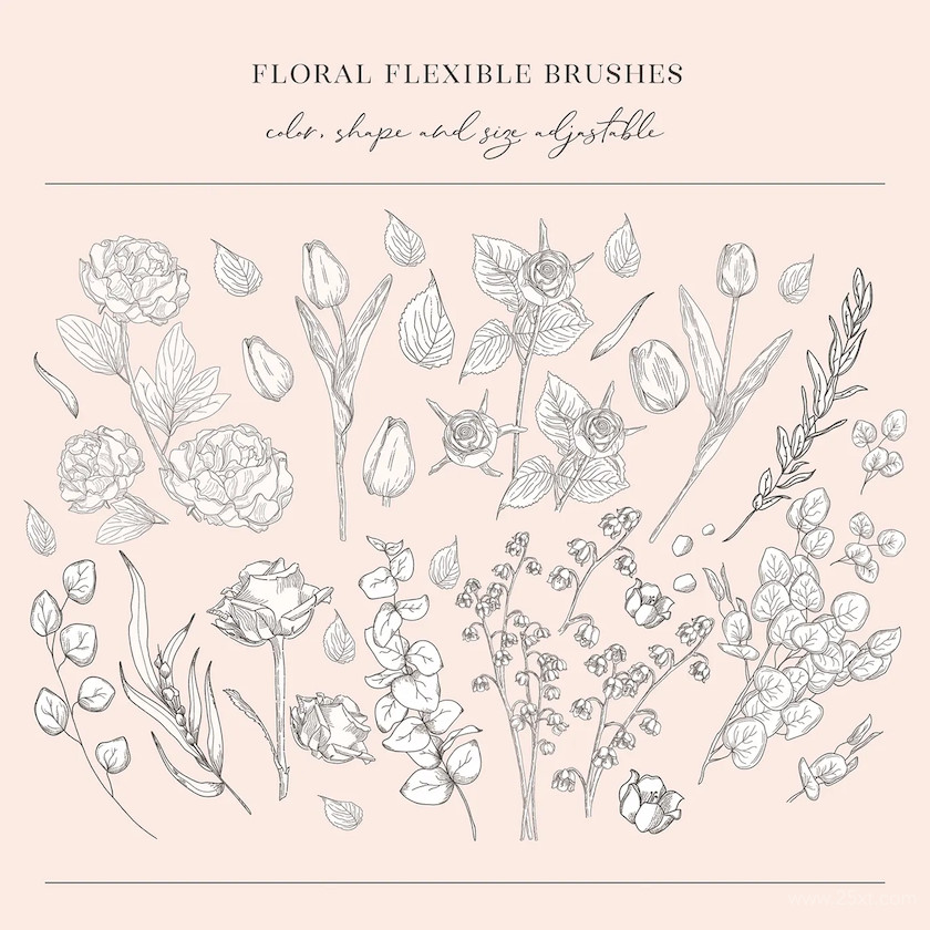 Floral Flexible Illustrator Brushes4.jpg