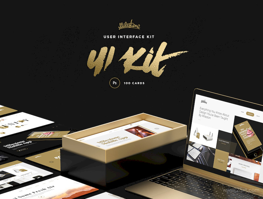 Milestone UI Kit7.jpg