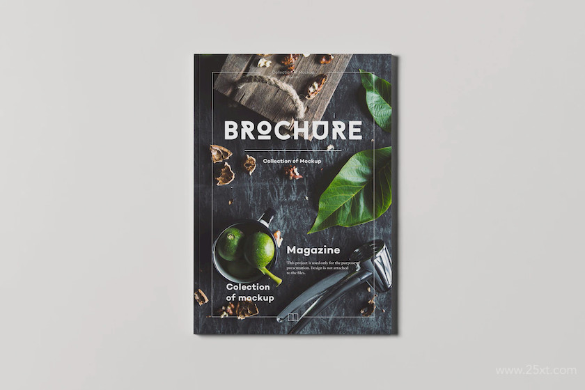 483429 A4 Magazine Mock-up 510.jpg