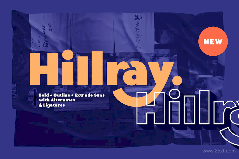 483593 Hillray - Stylish Bold Sans 2.jpg