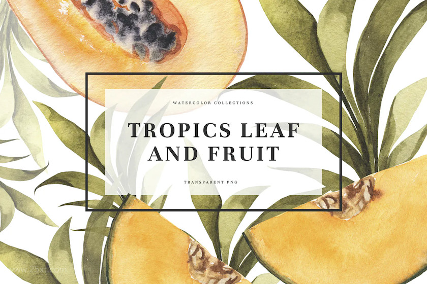 25xt-483845 Tropics Leaf & Fruits5.jpg