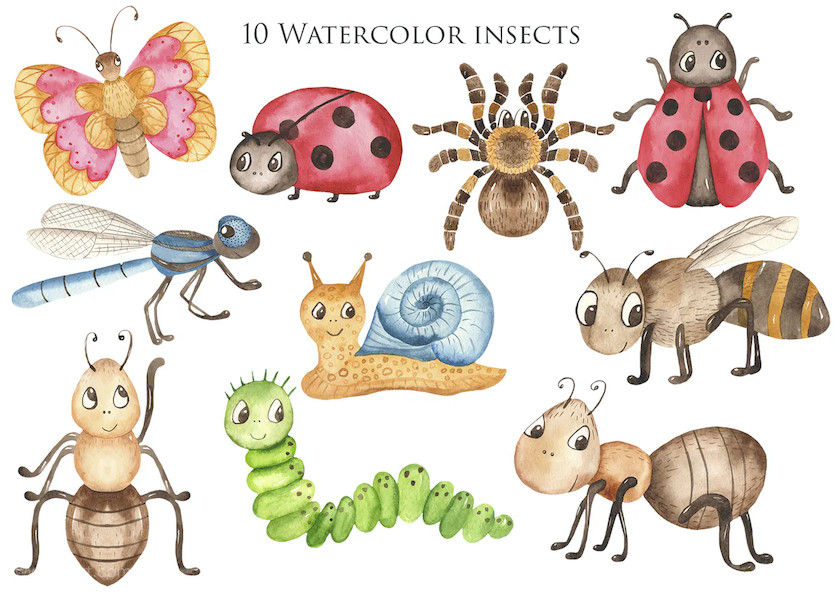 25xt-483973 Watercolor Insects Clipart4.jpg