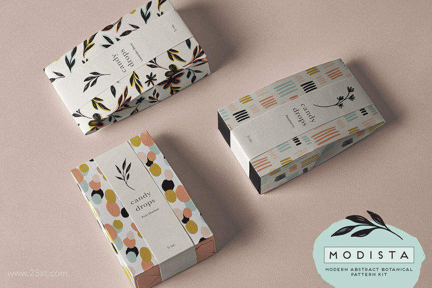 25xt-484384 Modista Abstract Botanical Pattern Kit11.jpg