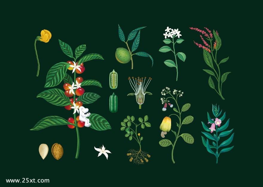 Gift-of-Nature-(8)_結(jié)果.jpg