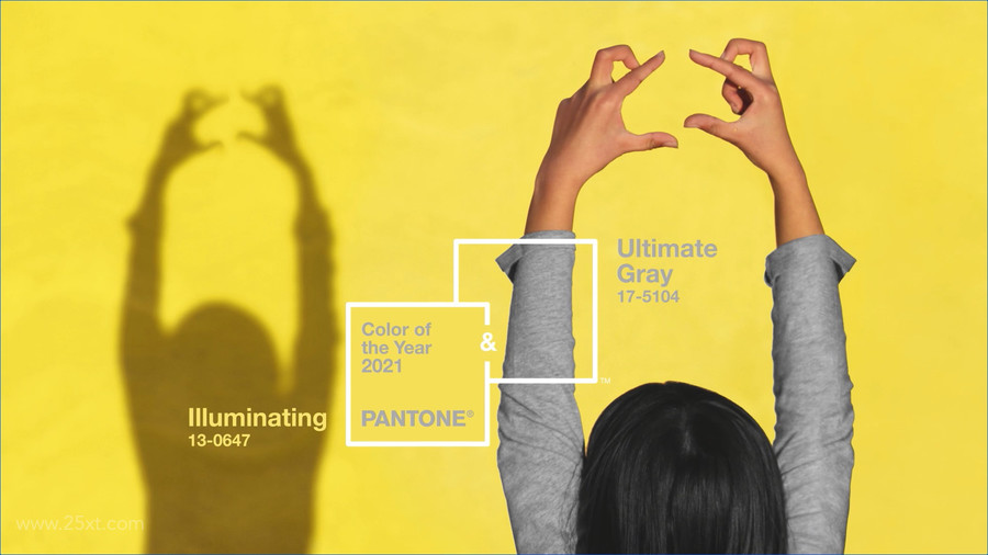 PANTONE 17-5104 Ultimate Gray + PANTONE 13-0647 Illuminating7.jpg